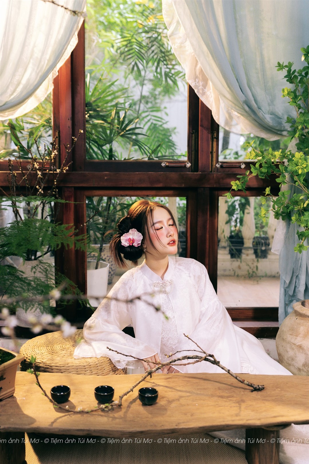 BẠCH TRÀ XUÂN 9