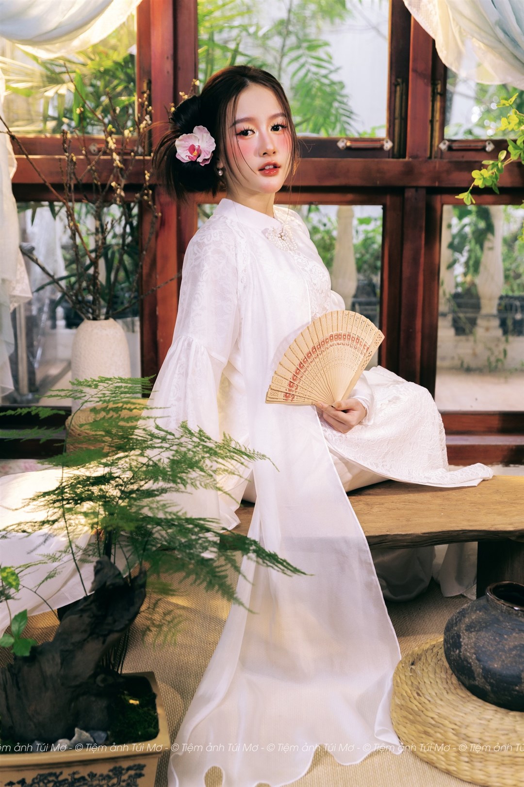 BẠCH TRÀ XUÂN 4