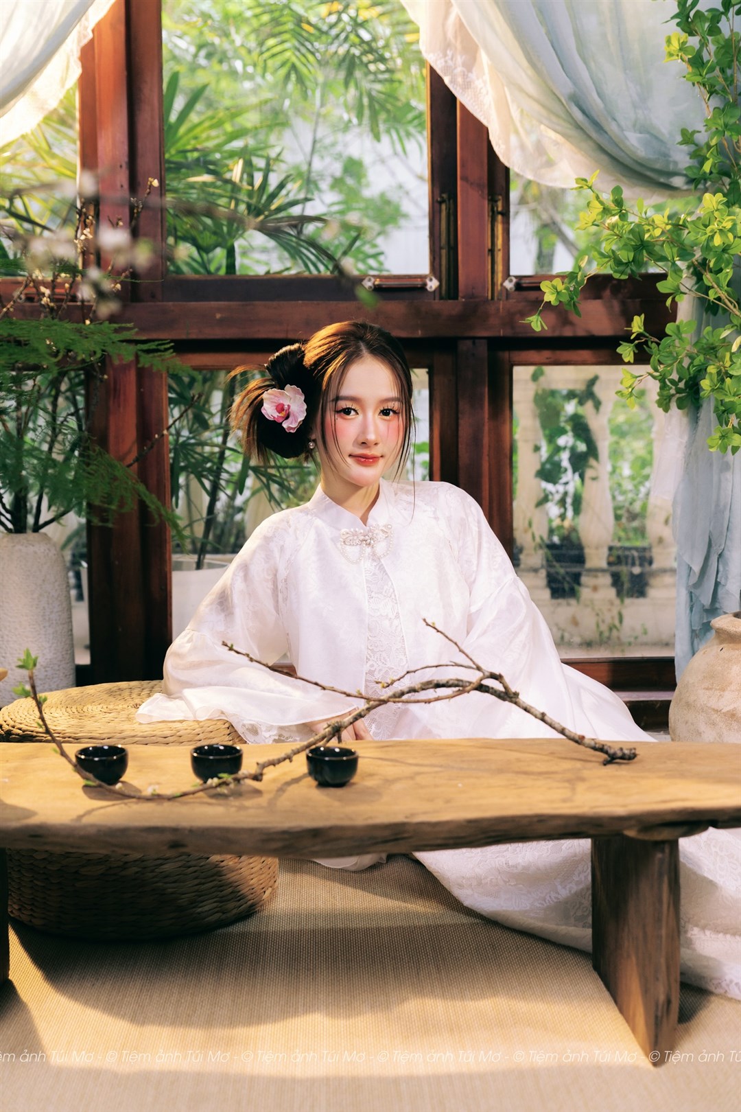 BẠCH TRÀ XUÂN 2