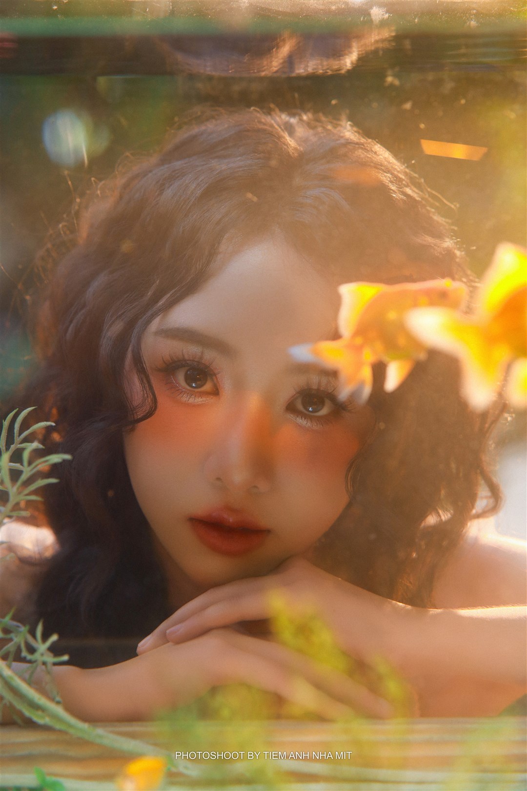 BỂ CÁ 5
